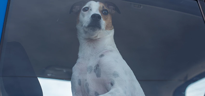 Car Lockout Solutions in Indio, California